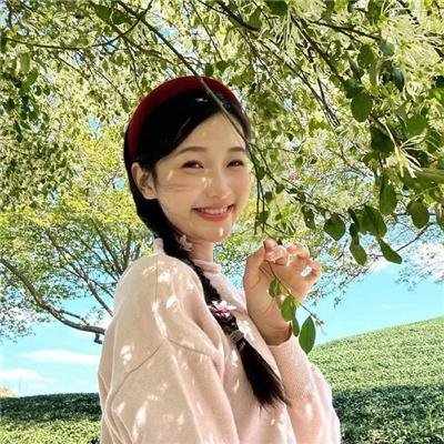 是非之地 在线观看